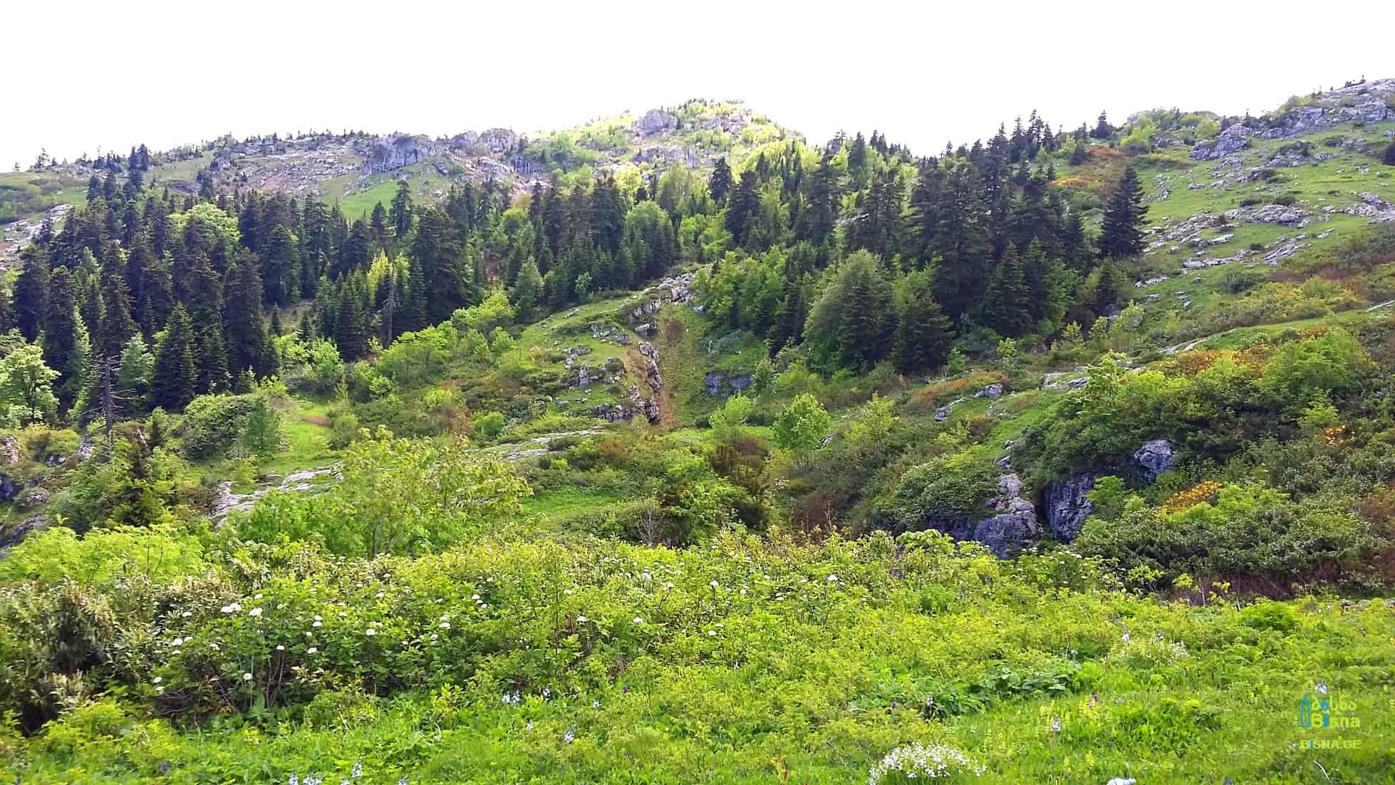 ხვამლის მთა